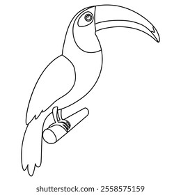 Line toucan sitting on branch. Linear contour bird hand drawn. Vector illustration isolated on white.