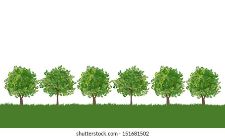 Line of trees on grass with copy space. 