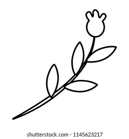 line tropical flower plant with petals style