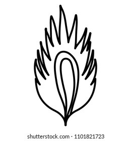 line tropical leaf botanic natural plant