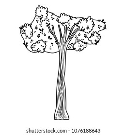 line tropical tree with nature branches leaves