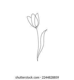 Line tulip flower art. One continuous line art decorative tulip flower draw. Editable stroke single element. Isolated vector illustration