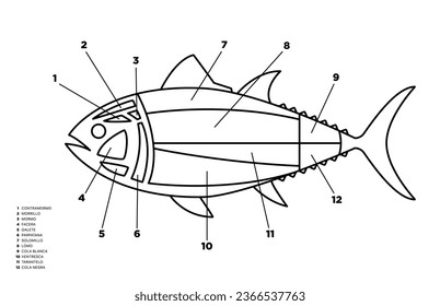 Line Tuna Cuts diagram (ronqueo). Parts of tuna written in Spanish. 