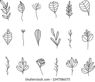 Line twigs vector set leaves and flowers on white background.