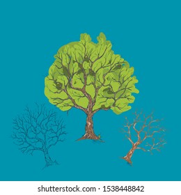 LINE VECTOR ART THREE TREES