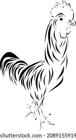 line vector or chicken logo for a product or business