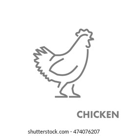 Line vector figure of chicken. Vector outline farm bird for web and design.