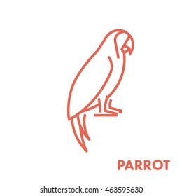 Line vector figure of parrot. Vector outline forest bird for web and design.