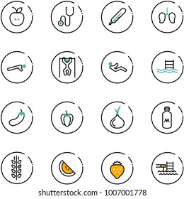 line vector icon set - apple vector, stethoscope, thermometer, lungs, push ups, pull, abdominal muscles, pool, eggplant, sweet pepper, onion, milk, spica, watermelone, strawberry