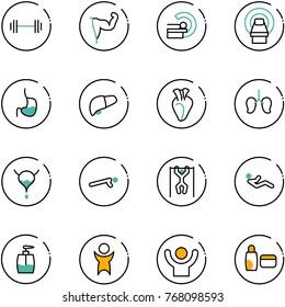 line vector icon set - barbell vector, power hand, mri, stomach, liver, heart, lungs, bladder, push ups, pull, abdominal muscles, liquid soap, success, uv cream