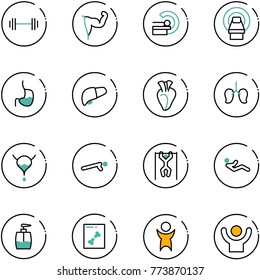 line vector icon set - barbell vector, power hand, mri, stomach, liver, heart, lungs, bladder, push ups, pull, abdominal muscles, liquid soap, x ray, success
