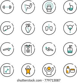 line vector icon set - barbell vector, power hand, mri, stomach, liver, heart, lungs, bladder, push ups, pull, abdominal muscles, liquid soap, x ray, success, uv cream