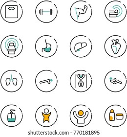 line vector icon set - floor scales vector, barbell, power hand, mri, stomach, liver, heart, lungs, push ups, pull, abdominal muscles, liquid soap, success, uv cream