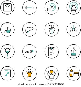 line vector icon set - floor scales vector, barbell, mri, stomach, liver, heart, lungs, bladder, push ups, pull, liquid soap, x ray, success, uv cream