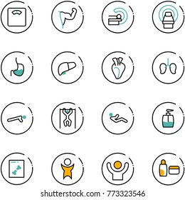 line vector icon set - floor scales vector, power hand, mri, stomach, liver, heart, lungs, push ups, pull, abdominal muscles, liquid soap, x ray, success, uv cream