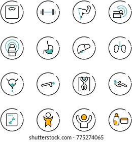 line vector icon set - floor scales vector, barbell, power hand, mri, stomach, liver, lungs, bladder, push ups, pull, abdominal muscles, x ray, success, uv cream