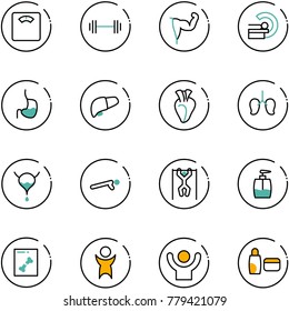 line vector icon set - floor scales vector, barbell, power hand, mri, stomach, liver, heart, lungs, bladder, push ups, pull, liquid soap, x ray, success, uv cream