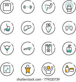 line vector icon set - floor scales vector, barbell, power hand, mri, stomach, liver, heart, lungs, bladder, push ups, pull, liquid soap, x ray, success, uv cream