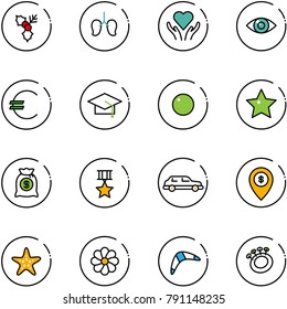 Line Vector Icon Set - Holly Vector, Lungs, Heart Care, Eye, Euro, Graduate Hat, Record, Star, Money Bag, Medal, Limousine, Atm Map Pin, Starfish, Flower, Boomerang, Beanbag