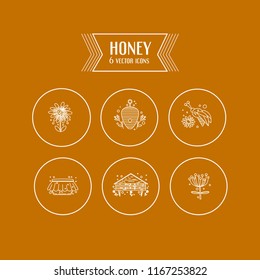 Line vector icon set. Honey theme. Unique collection of high quality images  