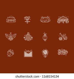 Line vector icon set. Honey theme. Unique collection of high quality images  