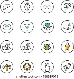 line vector icon set - liver vector, heart, lungs, brain, kidneys, bladder, care, drop hand, investment, group, success, team leader, dollar, victory, feet
