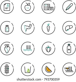 line vector icon set - patient card vector, apple, hospital building, thermometer, pills bottle, power hand, carrot, liver, heart, pool, sweet pepper, milk, spica, garbage, watermelone