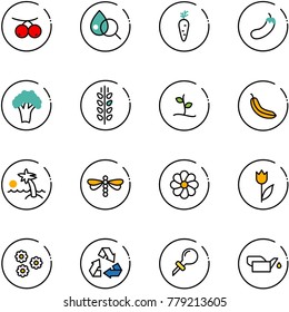 line vector icon set - rowanberry vector, blood test, carrot, eggplant, broccoli, spica, sproute, banana, palm, dragonfly, flower, tulip, recycling, oiler
