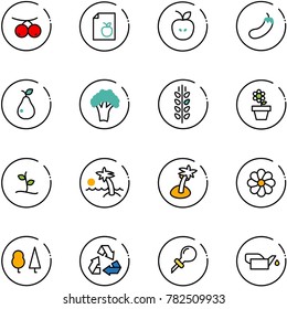 line vector icon set - rowanberry vector, diet list, apple, eggplant, pear, broccoli, spica, flower pot, sproute, palm, forest, recycling, oiler