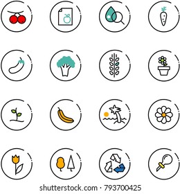 line vector icon set - rowanberry vector, diet list, blood test, carrot, eggplant, broccoli, spica, flower pot, sproute, banana, palm, tulip, forest, recycling, oiler