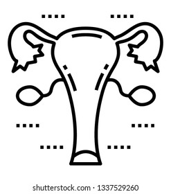 Line vector icon uterus, 