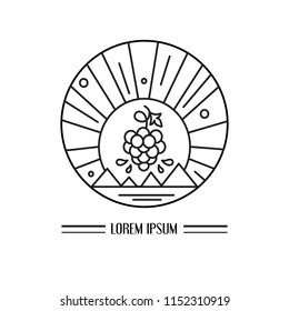 Line vector illustration of grape and nature. Modern style icon