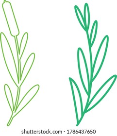 line vector illustration plants and flower