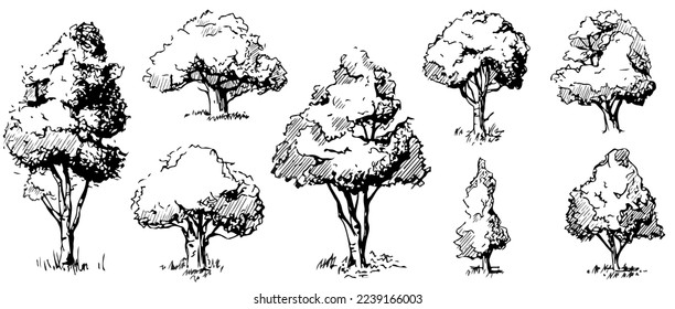 A line vector illustration of a rough hand drawn sketch of a tree perfect for architectural design presentations.