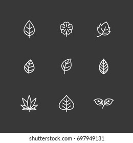 Line vector - Leaf icon set