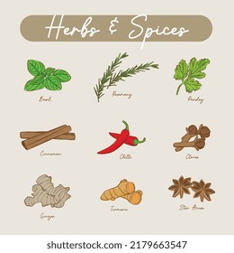 Line vector set of herbs and spices. basil, rosemary, parsley, cinnamon, chilli, cloves, ginger, turmeric, star anise. part 1