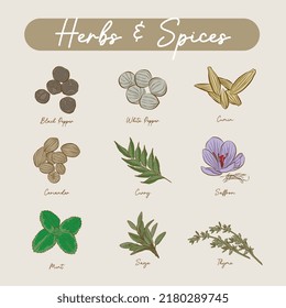 Line vector set of stickers for herbs and spices. black pepper, white pepper, cumin, coriander, curry, saffron, mint, sage, thyme. part 3