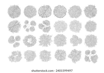 line vector tree top view isolated on white background for landscape plan and architecture layout drawing, elements for environment and garden
