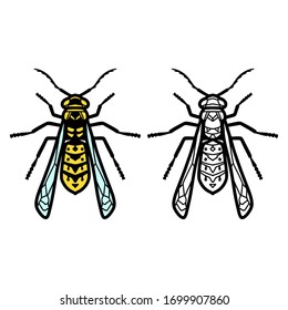 Line wasp graphic logo with yellow honey colour. Bee vector isolated illustration.