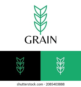 Line wheat grain logo design concept. Agriculture farm logomark illustration. Can representing plant, vegan, food, harvest, health, bread, cereal.