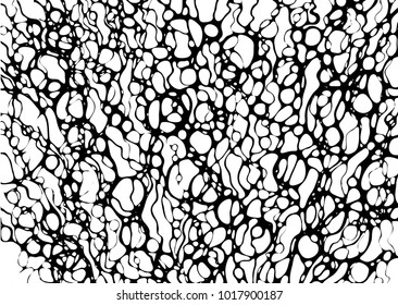 Line White texture.