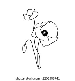 Line Wildflowers, poppy flowers. Isolated vector plants in outline style