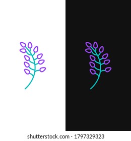 Line Willow leaf icon einzeln auf weißem und schwarzem Hintergrund. Farbiges Rahmenkonzept. Vektorgrafik