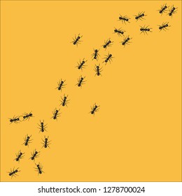 A line of worker ants marching in search of food. Vector illustration