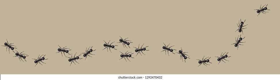 A line of worker ants marching in search of food. Vector banner 
