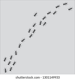 A line of worker ants marching in search of food. Vector illustration