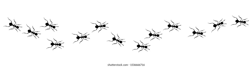 Line of worker ants marching in search of food – vector