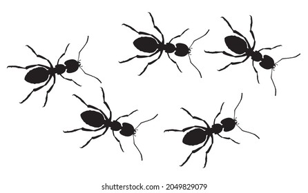 A line of worker ants marching in search of food. Vector banner