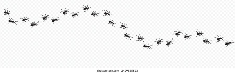 A line of worker ants marching in search of food. Vector banner