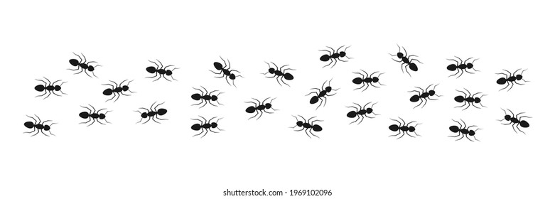 Line of working ants. Anthill symbol. Flock of black ants. Vector illustration isolated on white